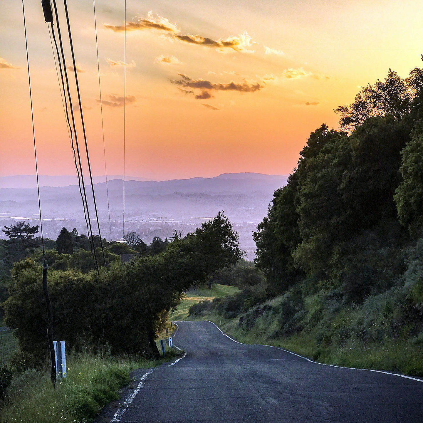 Scenic